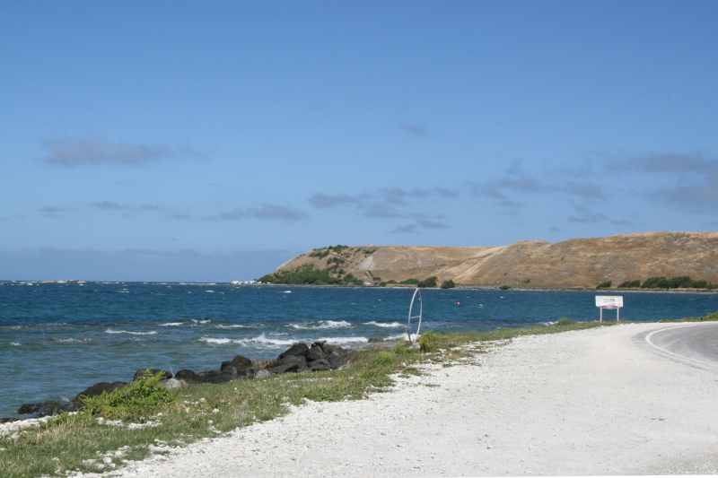 Nieuw-Zeeland 2011 - 1095